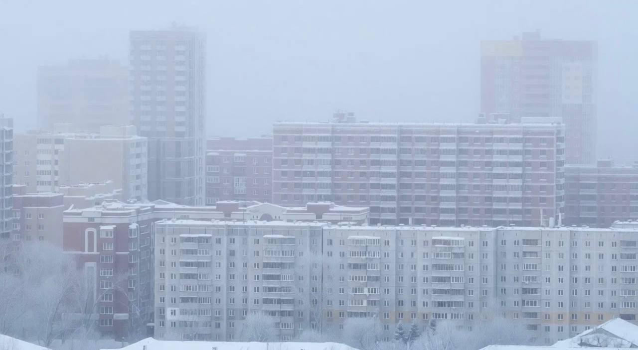 Фото В Новосибирск пришли аномальные морозы: 10 фото, от которых стынет кровь 6